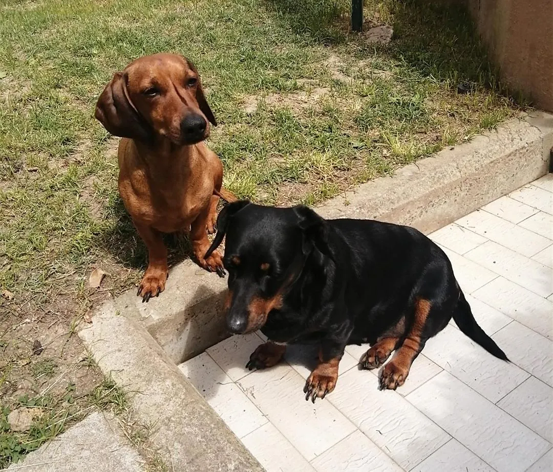 Luis&Susy Home, Cagliari Homestay